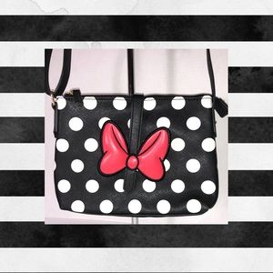 Disney Crossbody Purse
